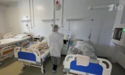 В России зафиксирован новый штамм коронавируса «Флирт»