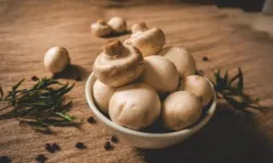 10 ПП-рецептов с шампиньонами: вкусно и без лишних калорий