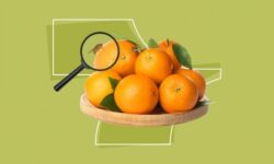Опасны ли жучки на фруктах и ягодах